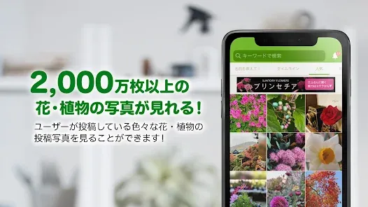 GreenSnap - 植物・花の名前が判る写真共有アプリ