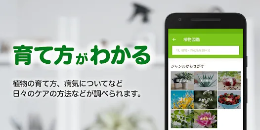 GreenSnap - 植物・花の名前が判る写真共有アプリ