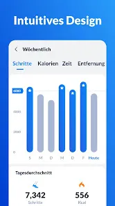 Schrittzähler