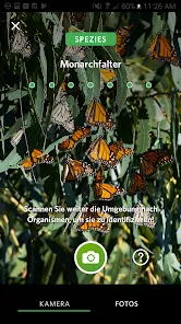 Seek von iNaturalist