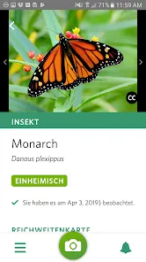 Seek von iNaturalist