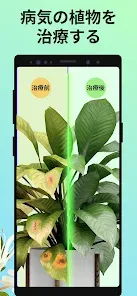 PictureThis - Plant Identifier