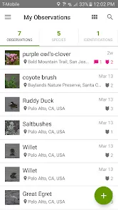 iNaturalist