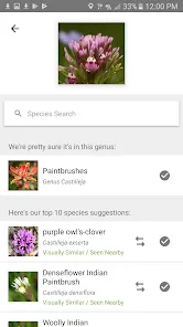 iNaturalist