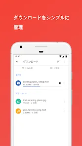 Opera beta Web ブラウザ