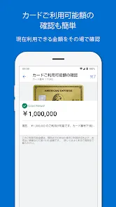 Amex Japan