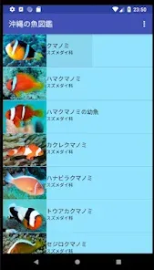 沖縄の魚図鑑