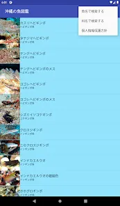 沖縄の魚図鑑