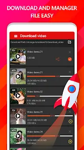 Video Downloader Master