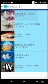 沖縄の魚図鑑