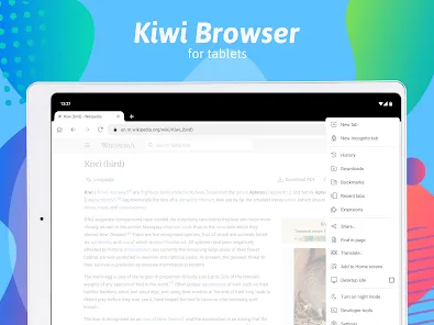 Kiwi Browser - Fast & Quiet